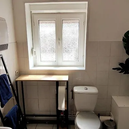 Style Industriel Au Centre De * דואי